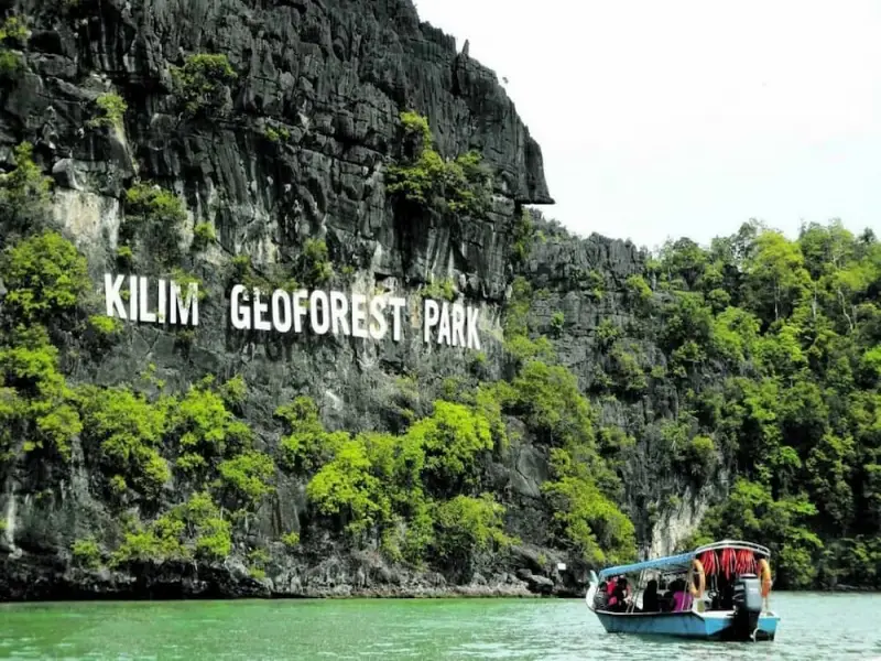 mangrove tour