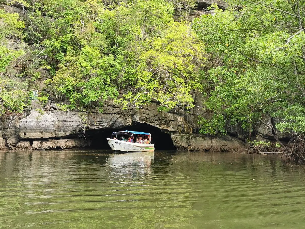 langkawi mangrove tour